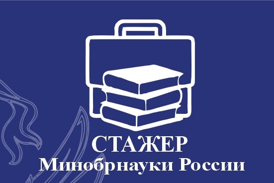 Стажер Минобрнауки России.