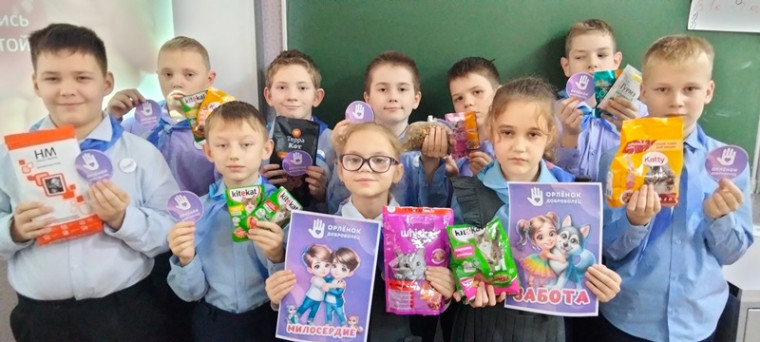 Итоговое событие трека «Орленок – Доброволец».